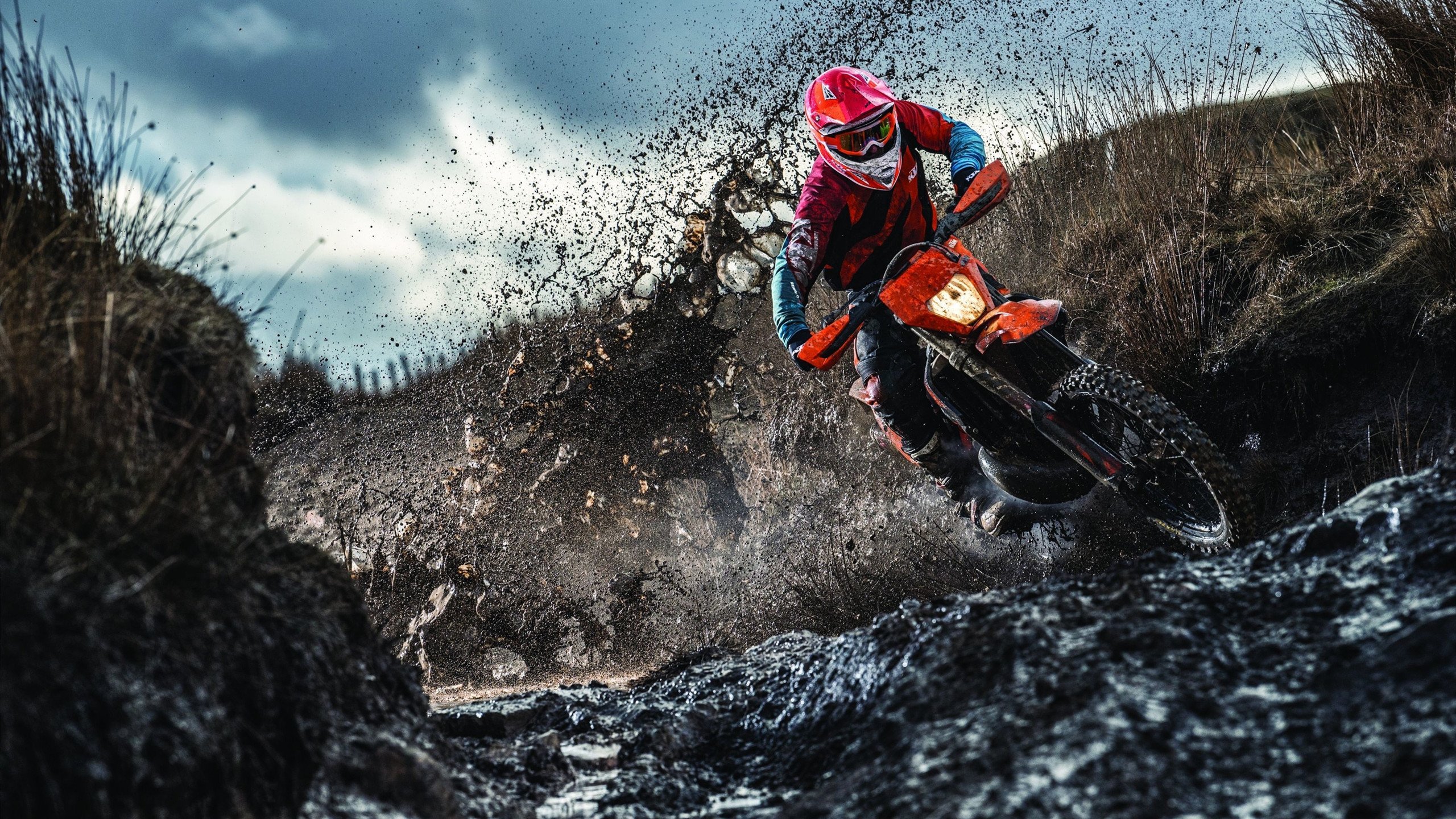 辽宁队提前终结悬念，福克斯太阳下关键时刻站出来，篮球赛场再演逆袭传奇